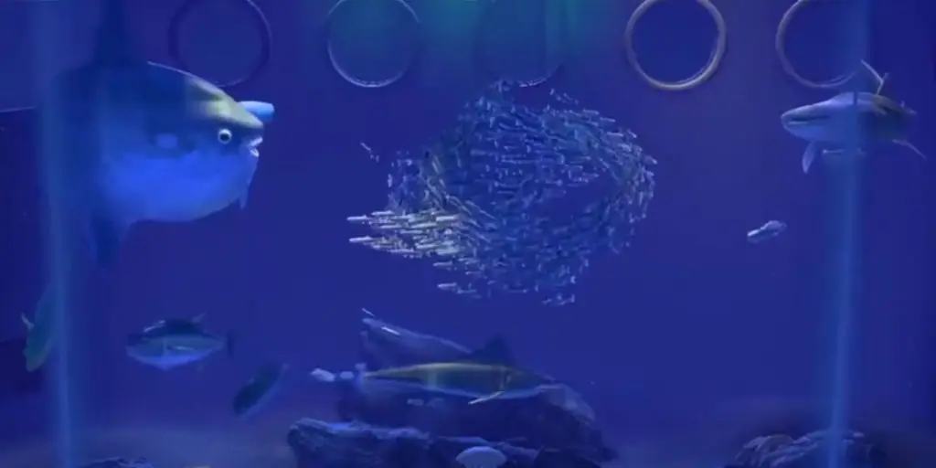 Animal Crossing New Horizons May Fish