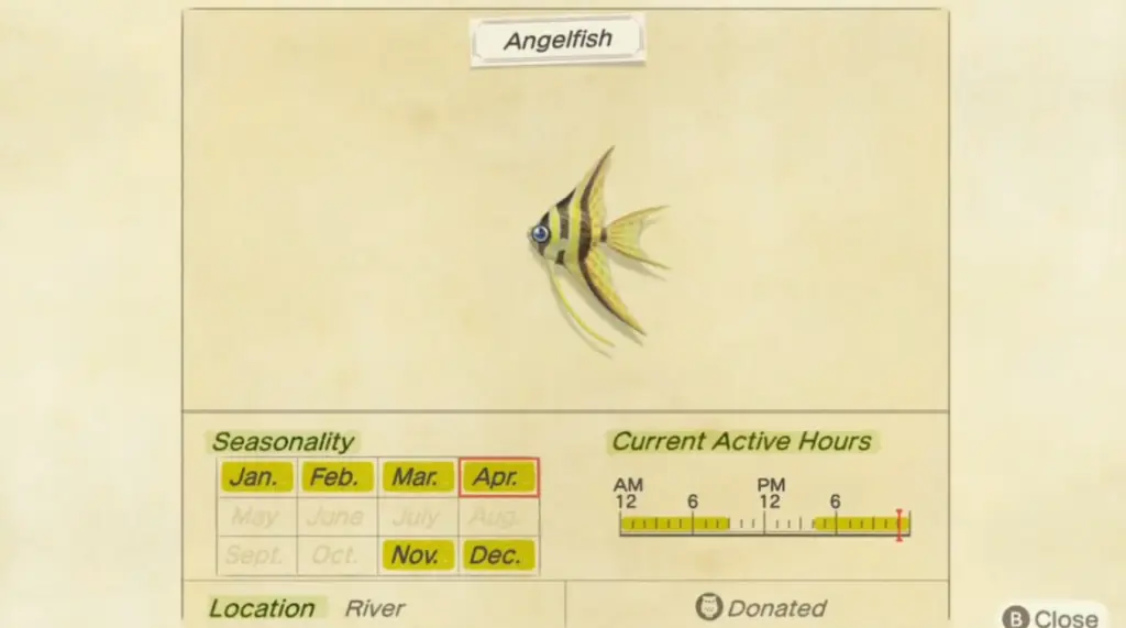 How to Catch Angelfish in Animal Crossing New Horizons