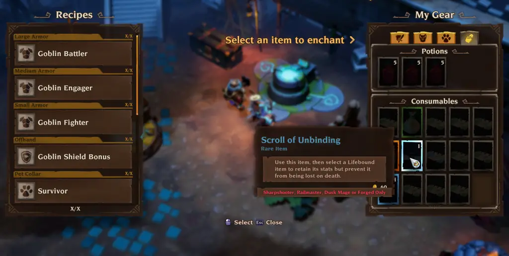 What are Lifebound Items in Torchlight 3?
