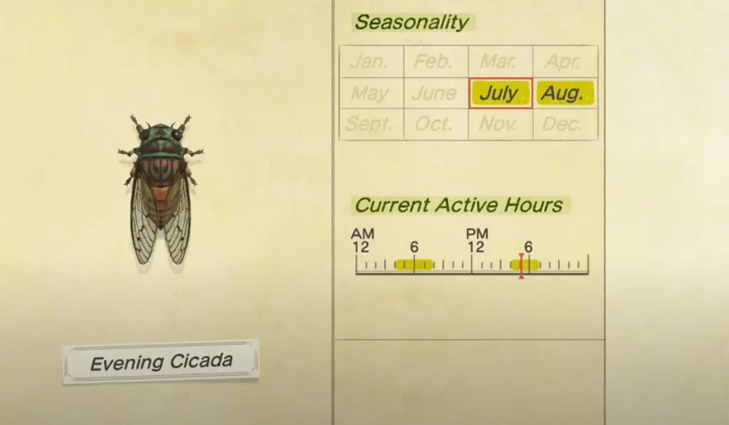 How to catch an Evening Cicada in Animal Crossing New Horizons