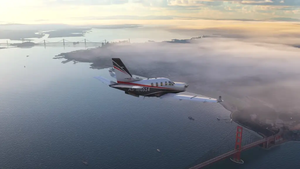 Microsoft Flight Simulator