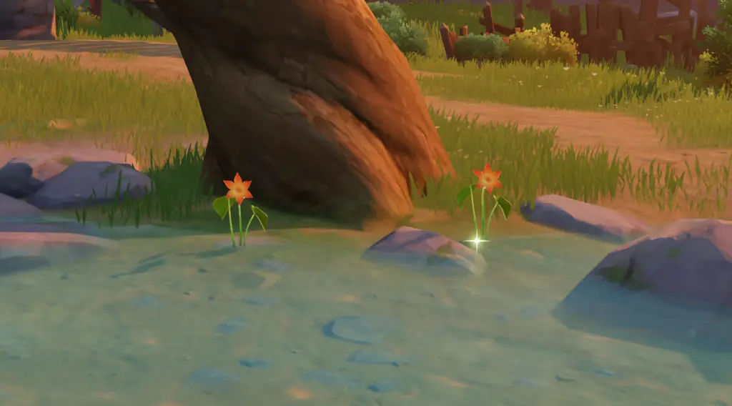 Where to find Calla Lily in Genshin Impact