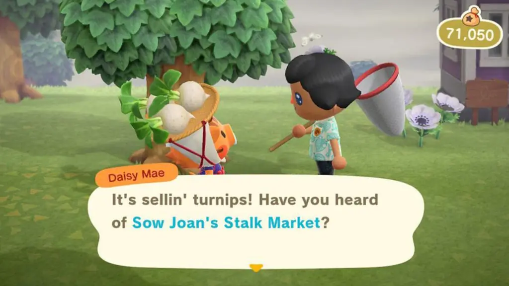 Can You Plant Turnips In Animal Crossing New Horizons