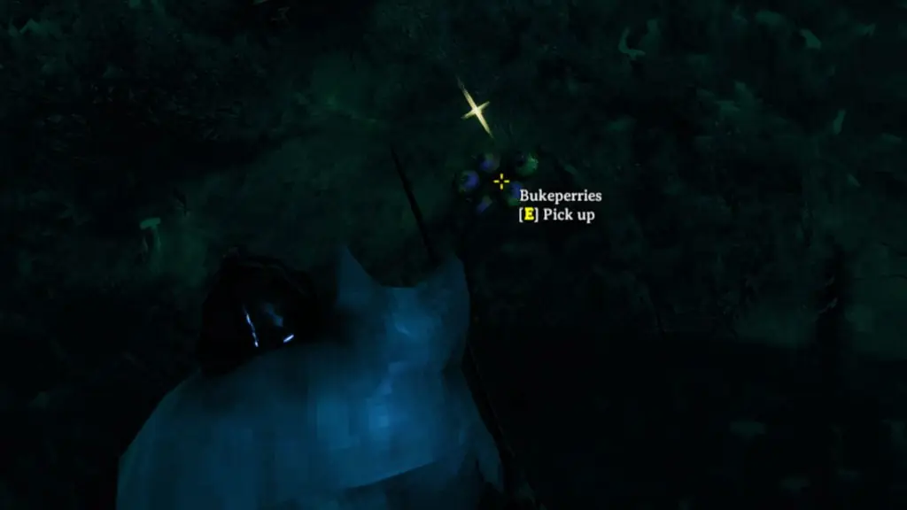 Where to Find Bukeberries in Valheim
