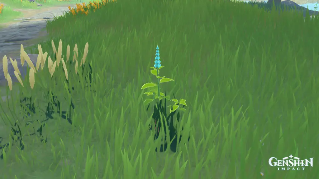 Where to find Mint in Genshin Impact