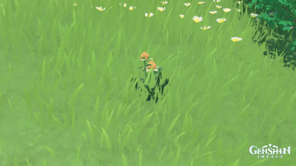 Where to find Sweet Flowers in Genshin Impact