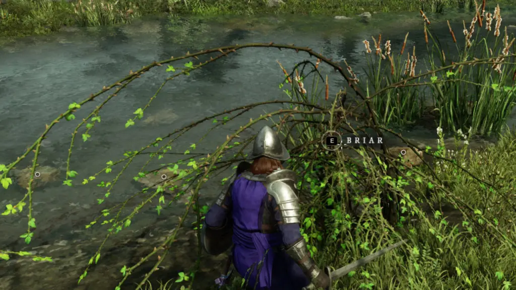 Where to find Briar in New World
