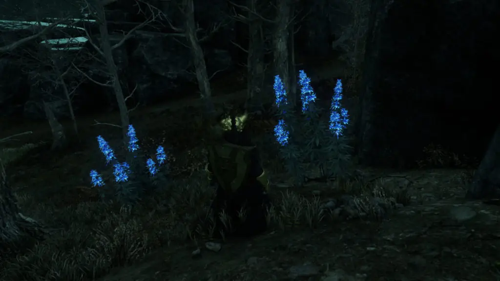 Where to find Silkweed in New World