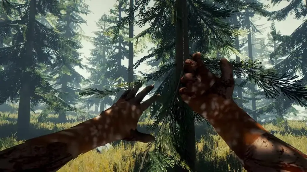 Wounded in the Forest