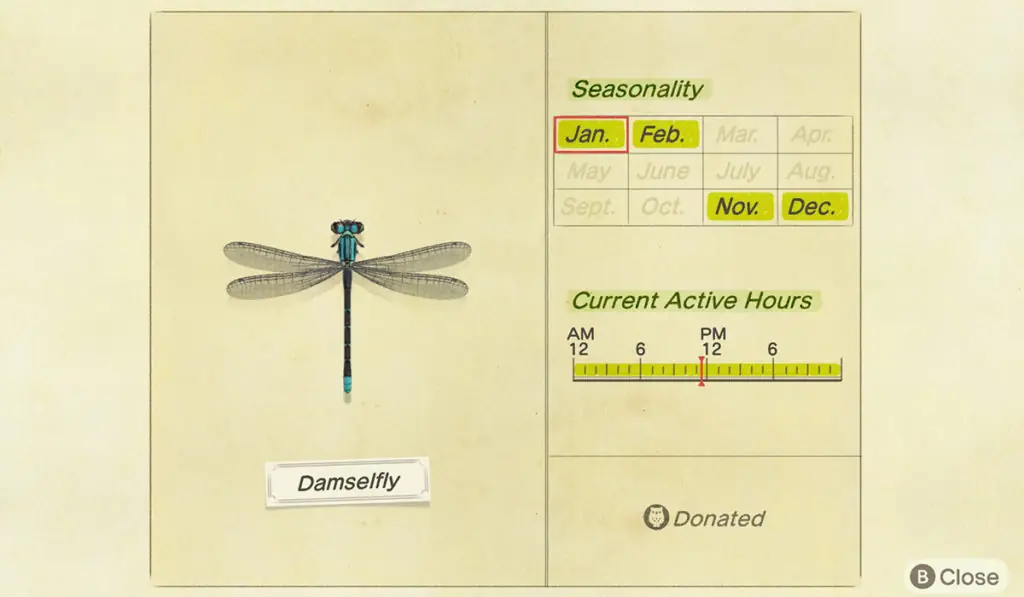 How to catch a Damselfly in Animal Crossing New Horizons