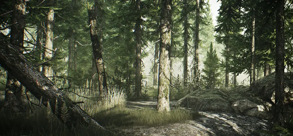 Shturman Key Escape From Tarkov Escape From Tarkov Woods Key Locations Gamer Journalist escape from tarkov woods key locations