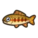 How To Catch A Golden Trout In Animal Crossing New Horizons