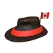 Free Roblox Items - Canada Fedora