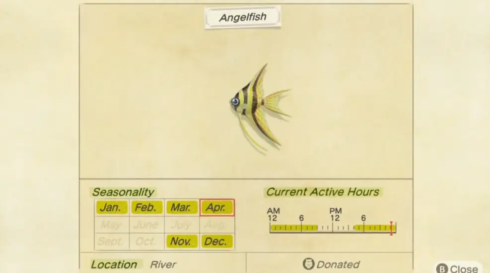 How To Catch Angelfish In Animal Crossing New Horizons Try also to place the angelfish in a tank that is tall. how to catch angelfish in animal